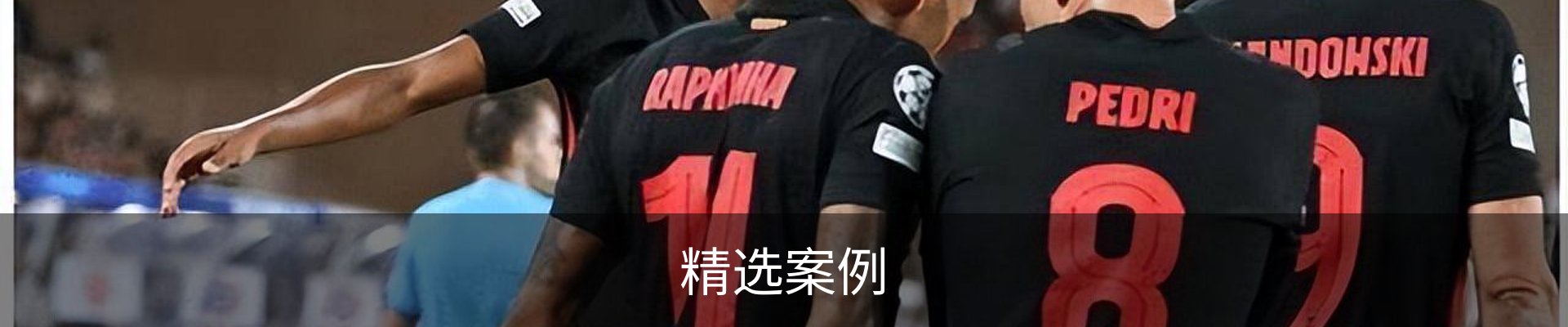 精选案例